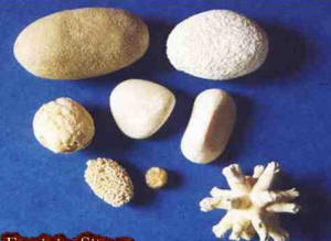 мкб котов камни песок соли в мочевых путях