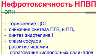 токсическое действие нпвс на почки у собак и кошек