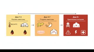 Инфографика симптомов пироплазмоза у собак по дням: ранние признаки
                          (температура 39.5-41°C, вялость, темная моча), поздние симптомы
                          (желтуха, рвота, анемия), критическое состояние