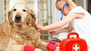Болезни собак, описание, диагностика, лечение