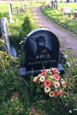 Кладбище для животных в Москве, аллея с захоронениями