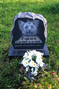 Могила йоркширского терьера на кладбище домашних животных в Москве
